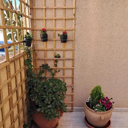 Apartment Apartamento Dama De Guardamar
